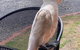 Halls Gap Valley Lodges - thumb 2