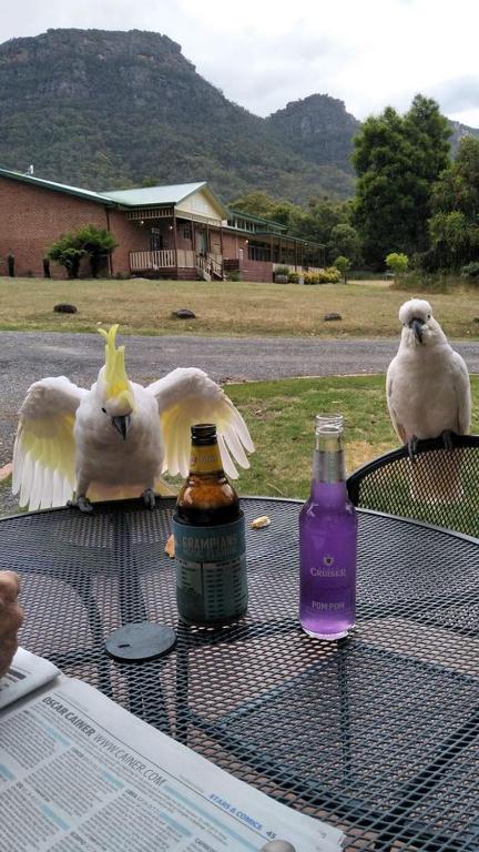 Halls Gap Valley Lodges - Accommodation BNB 3