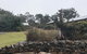 Hill End Lodge - thumb 2