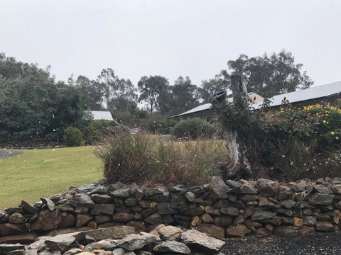 Hill End Lodge - Accommodation BNB 2