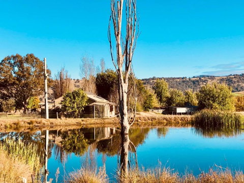 Hillview Cottage - Accommodation BNB 1