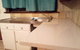 Homestay Upon Kenwick Station - thumb 2