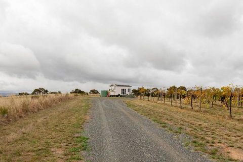 Hounds Run Vineyard - Tiny House In The Grampians - Accommodation BNB 3