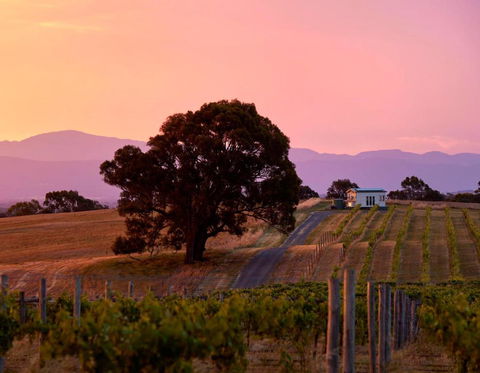 Hounds Run Vineyard - Tiny House In The Grampians - Accommodation BNB 0