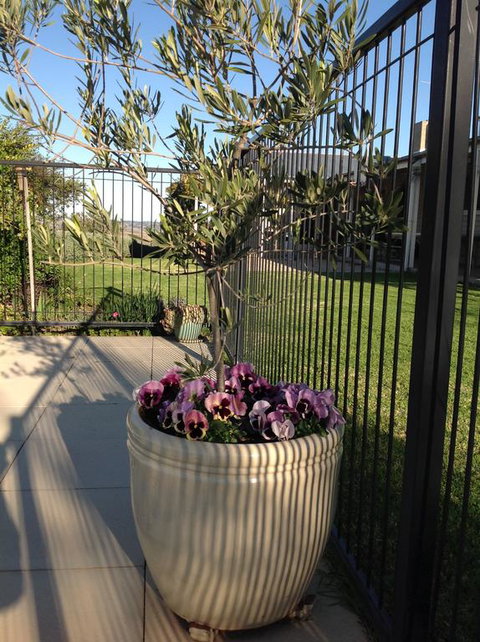 Amazing Views Pet Friendly Bed And Breakfast - Accommodation BNB 3