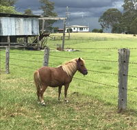 AMs Farm Stay - Accommodation BNB