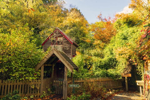 Arnica Views Summit Retreat - Accommodation BNB 1