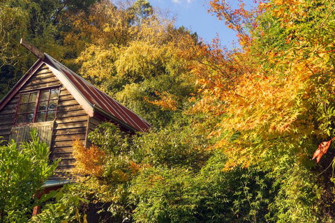 Arnica Views Summit Retreat - Accommodation BNB 2