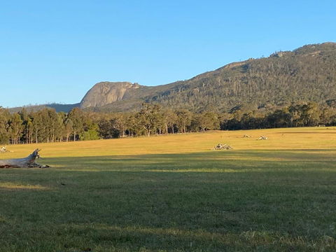 Manyat Peak Cottages Boobook - Accommodation BNB 0