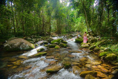 Misty Mountains Hideaway - Accommodation BNB 0