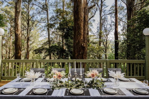 Modern Seednest Treehouse, Forest & Mountain View - Accommodation BNB 2