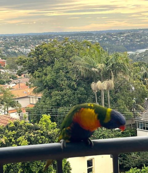 Mosman Views, 2bed, Parking, 15min Walk To Beach - Accommodation BNB 1