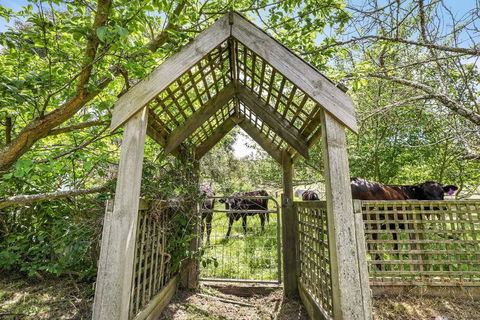 Mount Bolton Retreat - Accommodation BNB 2