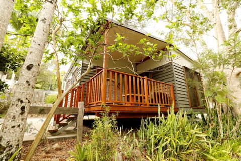 Mt Warning Rainforest Park - Accommodation BNB 1