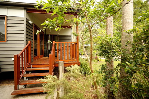 Mt Warning Rainforest Park - Accommodation BNB 0