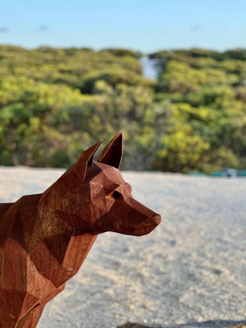 Native Dog Cabin - Accommodation BNB 2