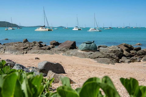 NEW! Gorgeous 2BR Apartment With Stunning Ocean Views! - Accommodation BNB 1
