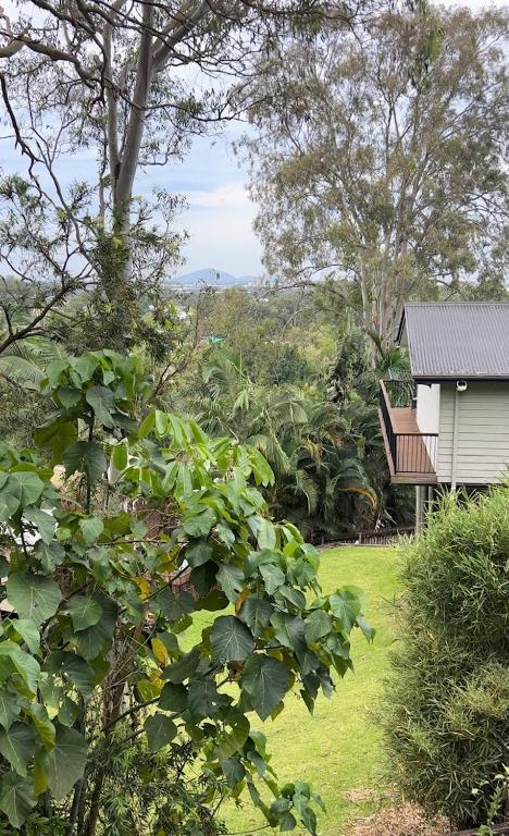 New - Our Treehouse Near Alex Beach - Accommodation BNB 2