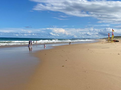 NEW Upmarket OCEAN 3Bed 2Bath Unit - 250m 2 BUDDINA BEACH! - Accommodation BNB 1