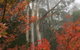Olinda Enchanted Tower Spa Gas Log Fire And Netflix - thumb 2