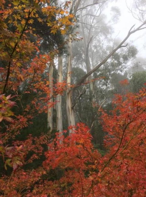 Olinda Enchanted Tower Spa Gas Log Fire And Netflix - Accommodation BNB 2