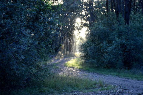 On Bell Glamping - Accommodation BNB 3