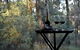 On Bell Glamping - thumb 2