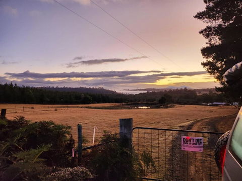 Pine Edge Heights By Tiny Away - Accommodation BNB 2