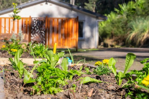 Pure Valley Estate - Accommodation BNB 3