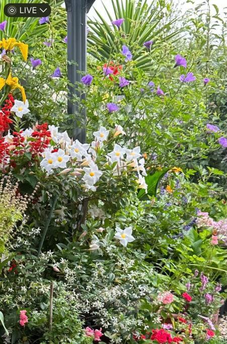 Quiet Comfort For Relaxing Stays - Accommodation BNB 0