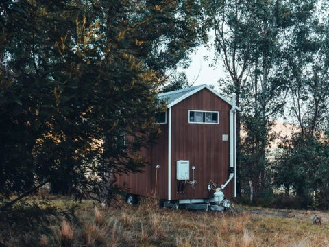 Raintree Farmstay By Tiny Away - Accommodation BNB 1
