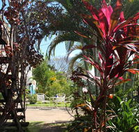 Asylum Cairns Hostel - Accommodation BNB