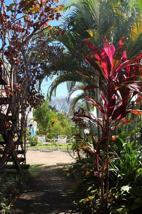 Asylum Cairns Hostel - Accommodation BNB 0