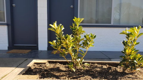 Australian Hotel Motel - Accommodation BNB 2