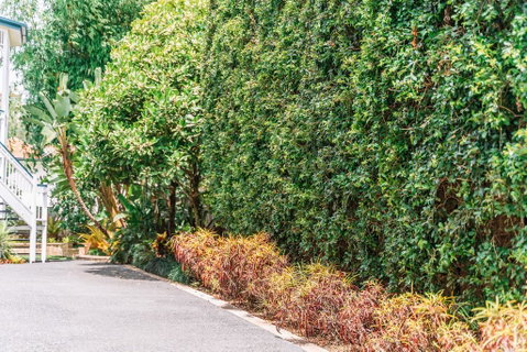 Balmoral Queenslander - Accommodation BNB 3