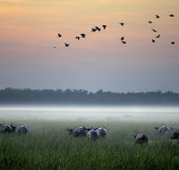 Bamurru Plains - Accommodation BNB