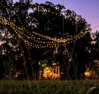 Banyan Tree - Accommodation BNB