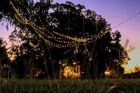 Banyan Tree - Accommodation BNB 0