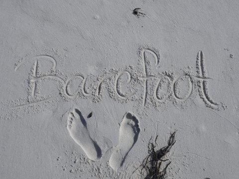 Barefoot Beach House - Accommodation BNB 0