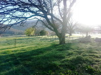 Book Dadswells Bridge Accommodation Vacations Accommodation BNB Accommodation BNB