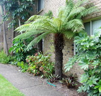 Beachfront Apartments - Accommodation BNB
