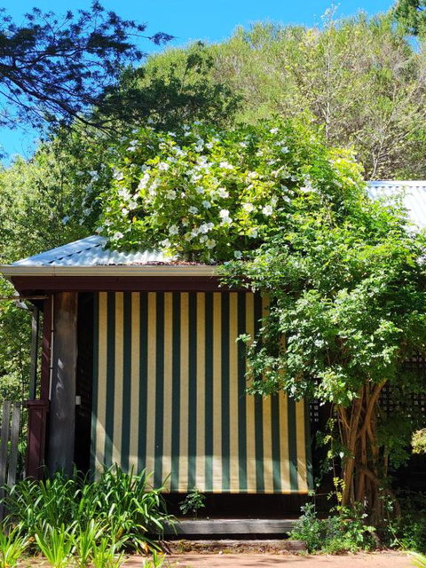 Redgum Hill Country Retreat - Accommodation BNB 3