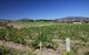 Riversdale Estate Cottages - thumb 1