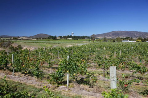 Riversdale Estate Cottages - Accommodation BNB 1
