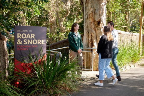 Roar And Snore - Accommodation BNB 1
