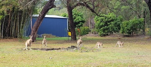 Roo Or 2 On Streeter - Accommodation BNB 0