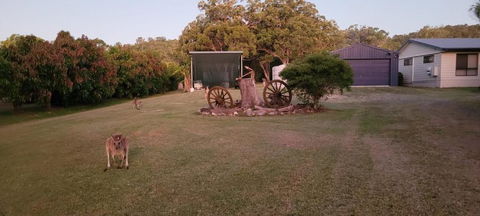 Roo Or 2 On Streeter - Accommodation BNB 2