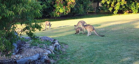 Roo Or 2 On Streeter - Accommodation BNB 3