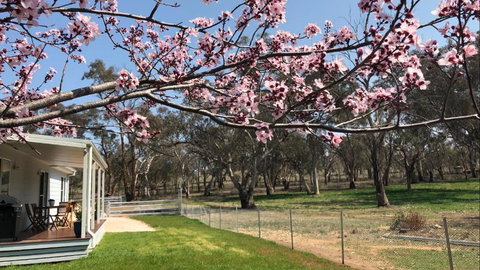 Rosewood Cottage - Accommodation BNB 3