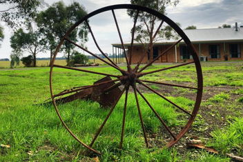 Ruby Rose with Accommodation BNB